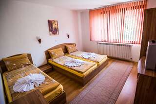 Гостевой дом Vien Guest House Банско Трехместный номер-1