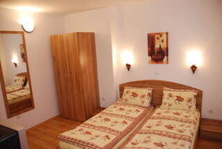 Гостевой дом Vien Guest House Банско Двухместный номер с 1 кроватью-11