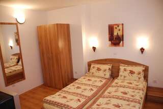 Гостевой дом Vien Guest House Банско Двухместный номер с 1 кроватью-18