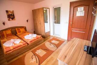 Гостевой дом Vien Guest House Банско Двухместный номер с 1 кроватью-25