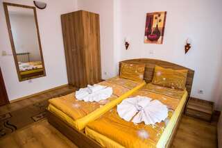 Гостевой дом Vien Guest House Банско Двухместный номер с 1 кроватью-26